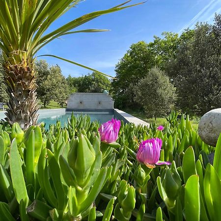 Bed and Breakfast Pigeonnier Des Banons Puimoisson Exterior foto